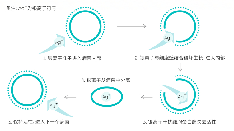 汽車(chē)内飾抗菌材料健康黑科(kē)技(jì )